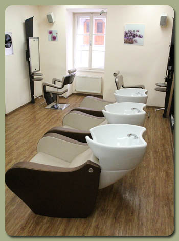 salon_2